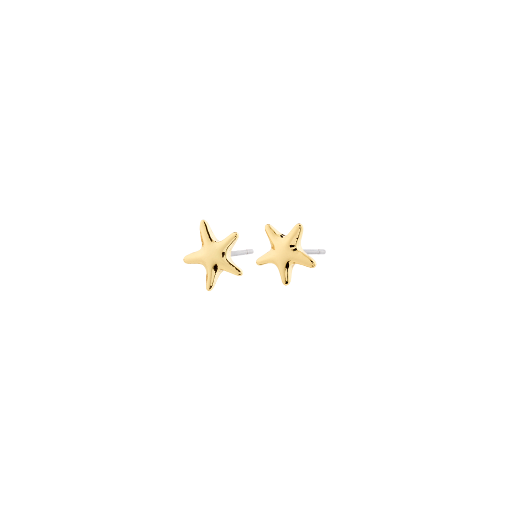 Andre Earrings - Gold Plated