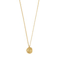 Air Coin Necklace - Gold Plated