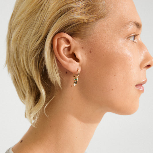 Sense Earrings - Gold Plated/Multi