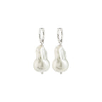 Radley Earrings - Silver Plated