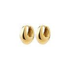 Kairoa Earrings Gold-Plated