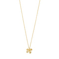 Ajani Necklace - Gold Plated