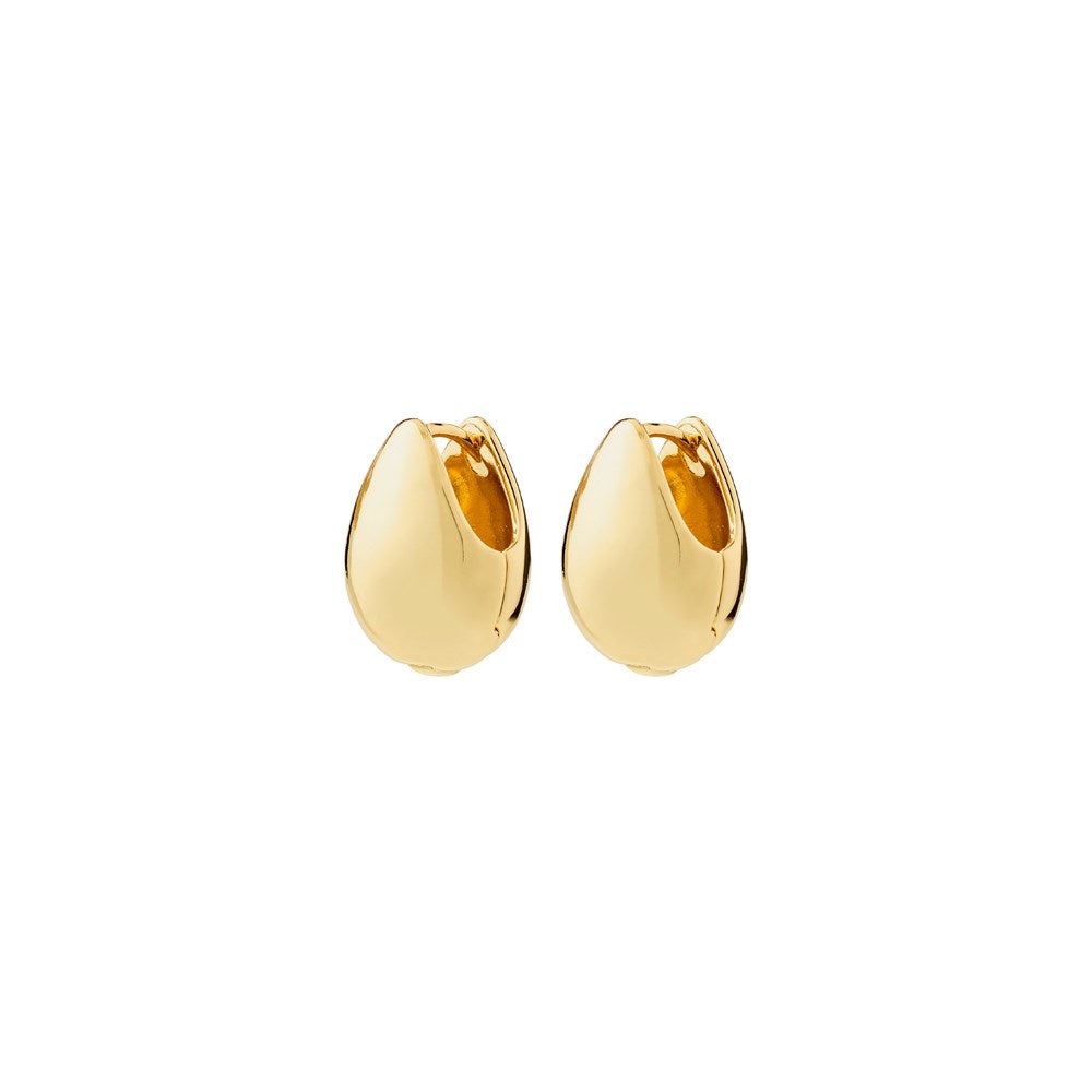 Kaisyn Earrings - Gold Plated