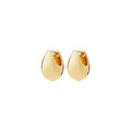 Kaisyn Earrings - Gold Plated