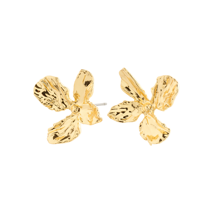 Dream Earrings - Gold Plated