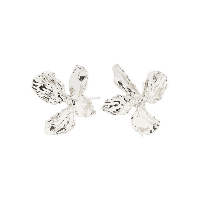 Dream Earrings - Silver Plated